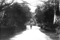 BSD_HS_0084